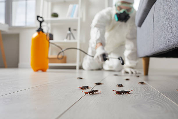 Commercial Kitchen Cockroach Control in Old Orchard